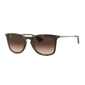 Ray-Ban 0RB4221