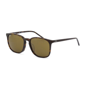 Ray-Ban 0RB4387F